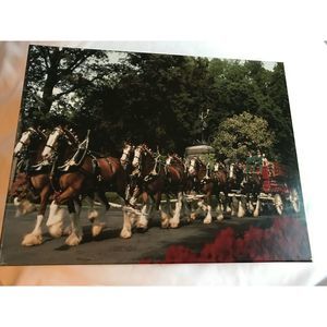 Vntg Anheuser Busch Clydesdale Puzzle 432 Pieces